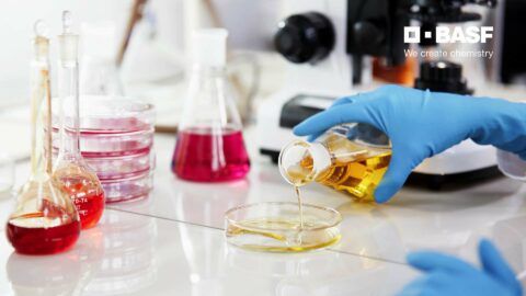 BASF automatisiert globalen P2P-Prozess in der Cloud